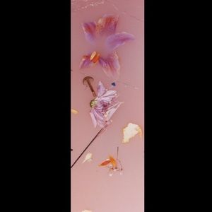 Meet your Posher, Teresa